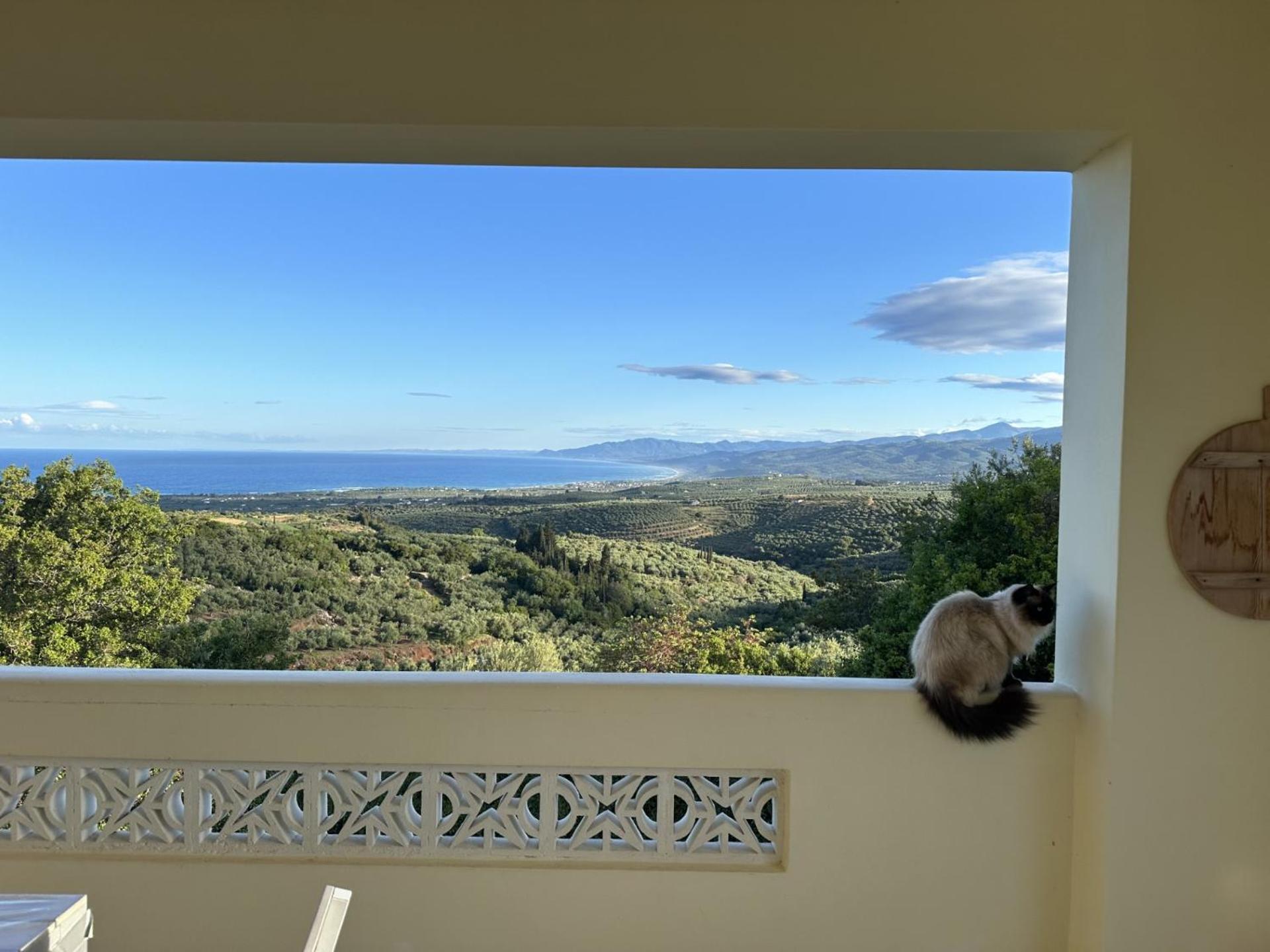 Kyparissia De Wandelboom Villa Vrises  Ngoại thất bức ảnh