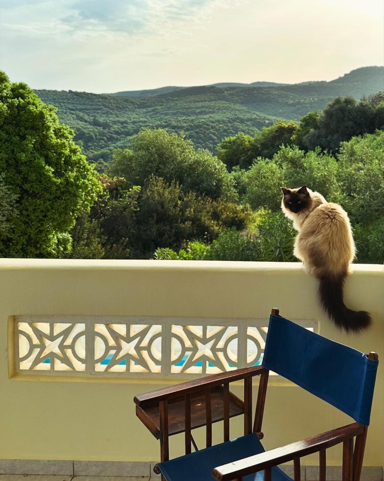 Kyparissia De Wandelboom Villa Vrises  Ngoại thất bức ảnh